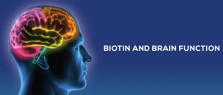 advantage of taking biotin supplements